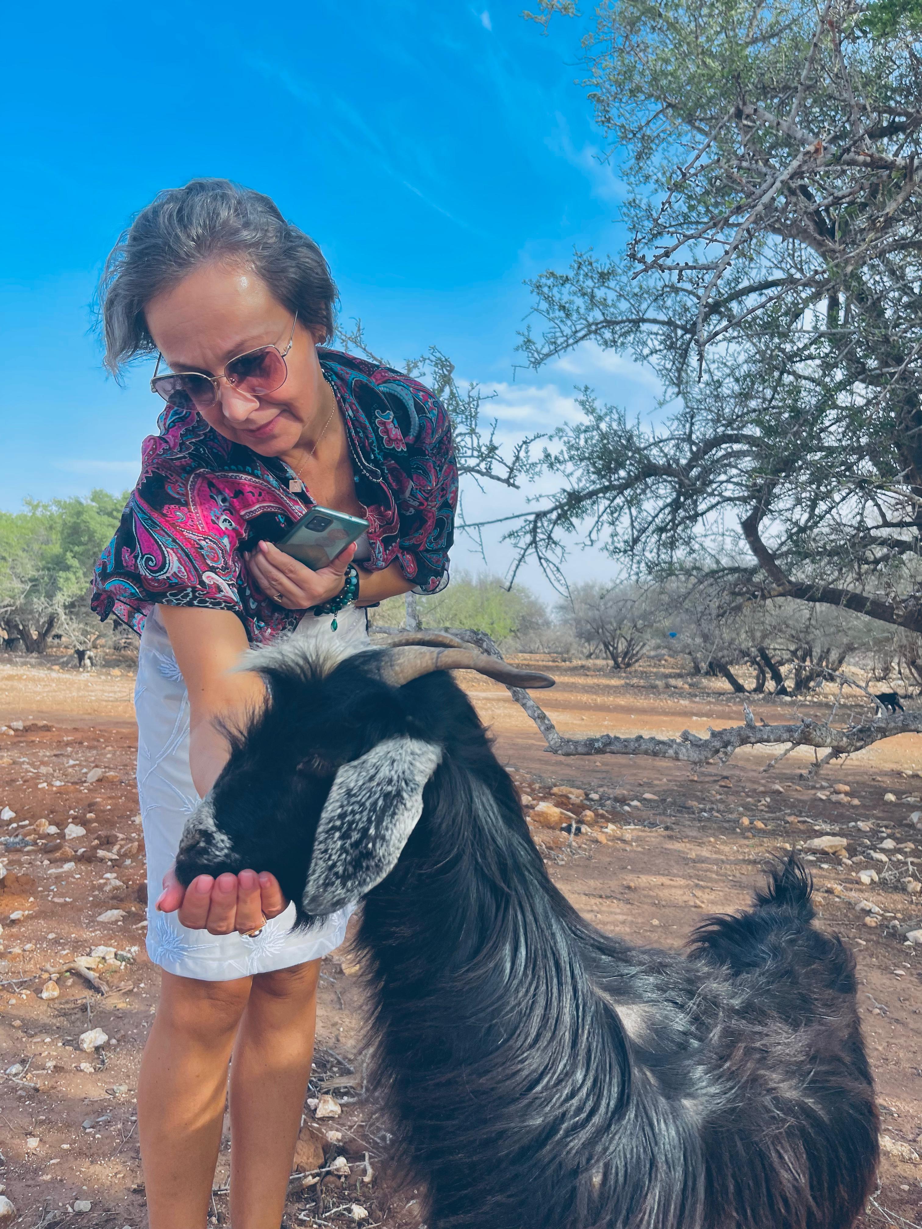 Morocco travel experience